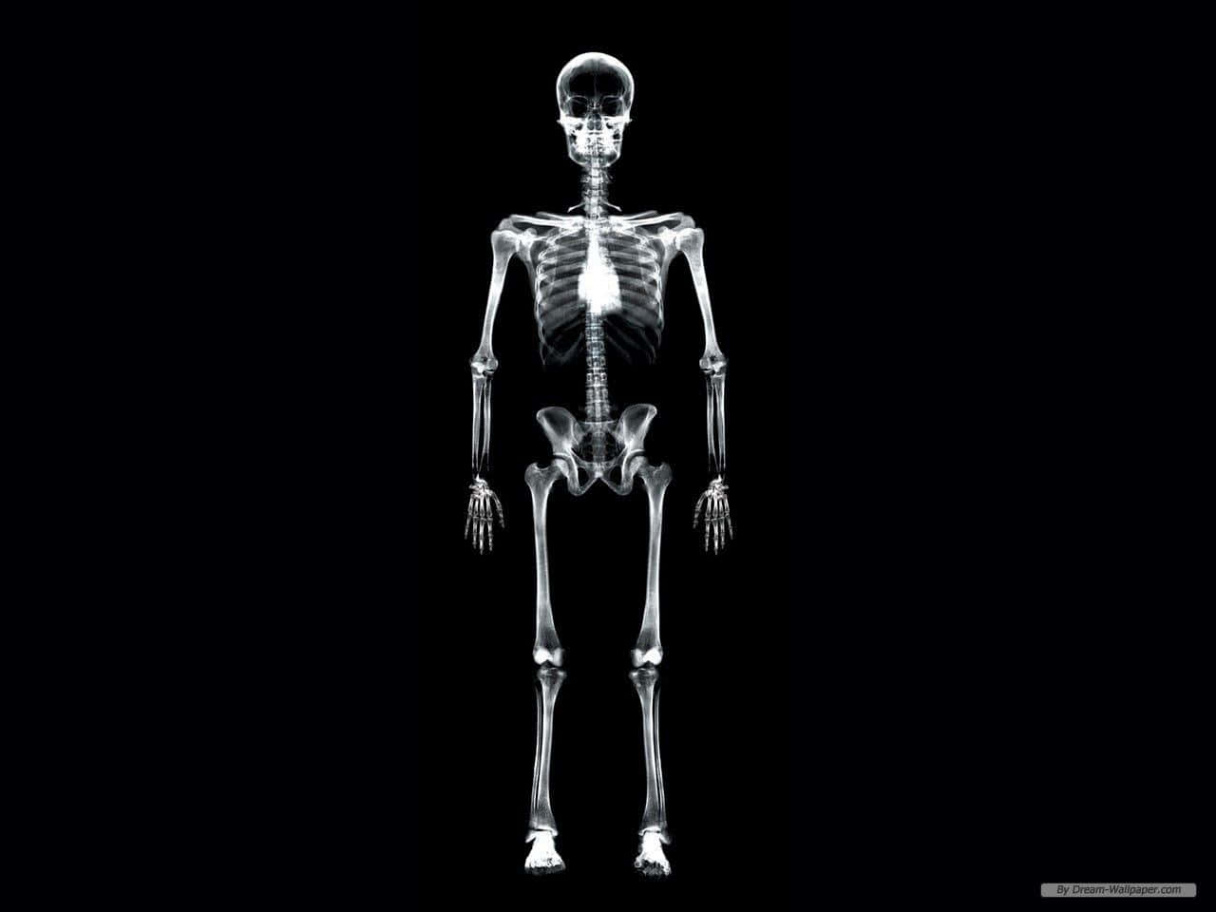 Download A Skeleton Is Shown On A Black Background Wallpaper