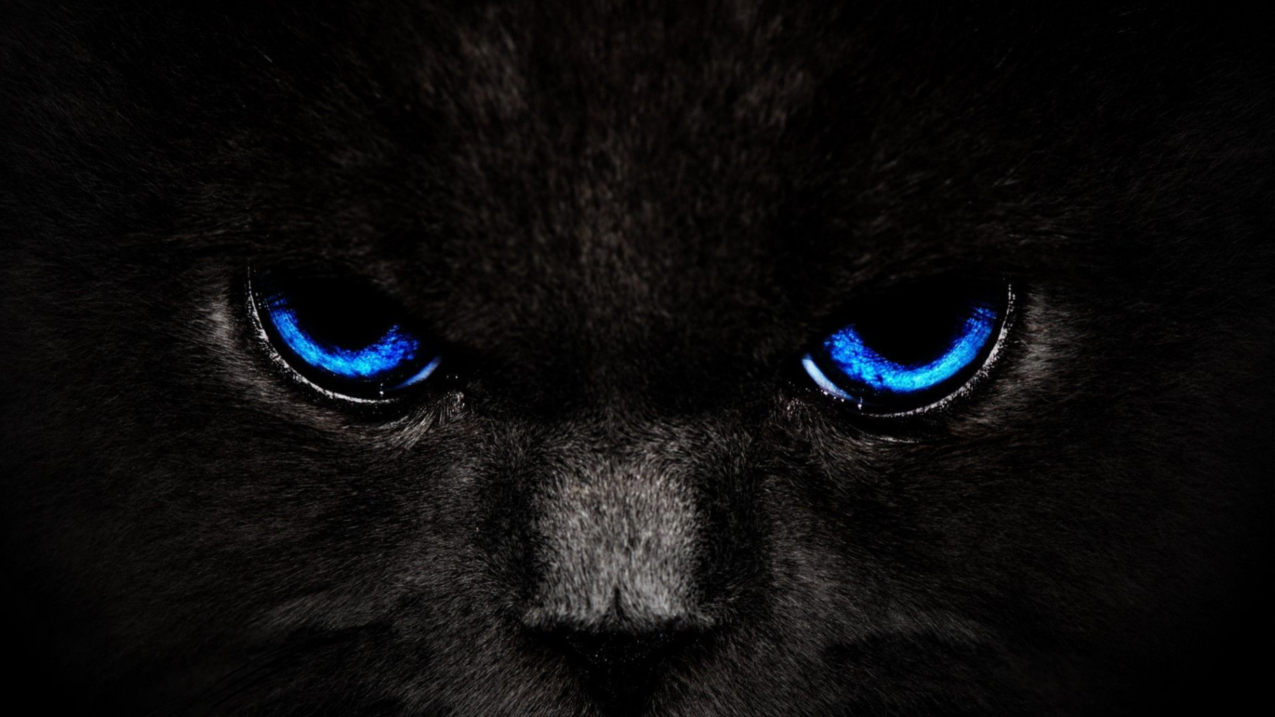 Eyes Desktop Wallpapers - Wallpaper Cave