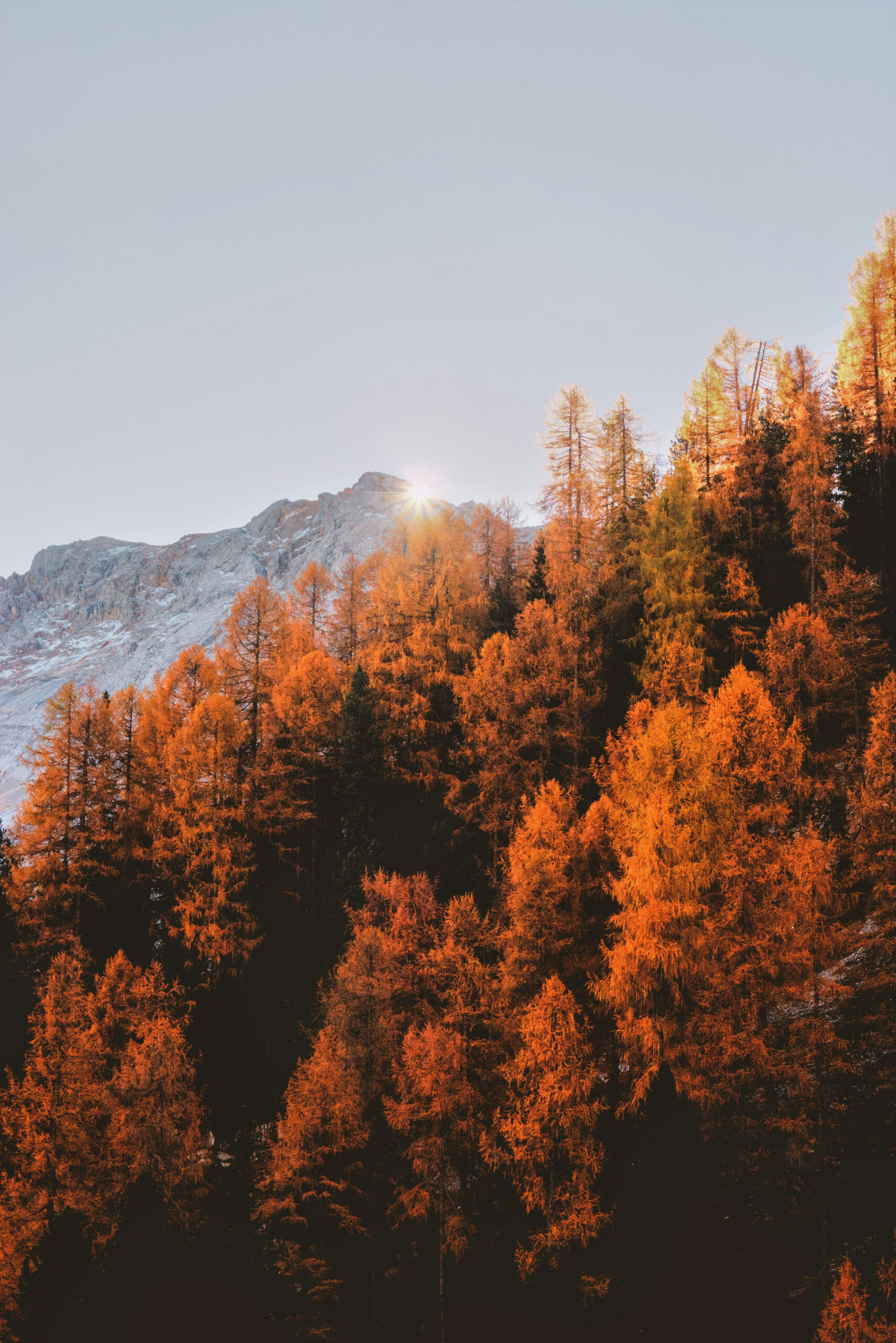 Fall Wallpapers: Kostenloser HD-Download [+ HQ]  Unsplash