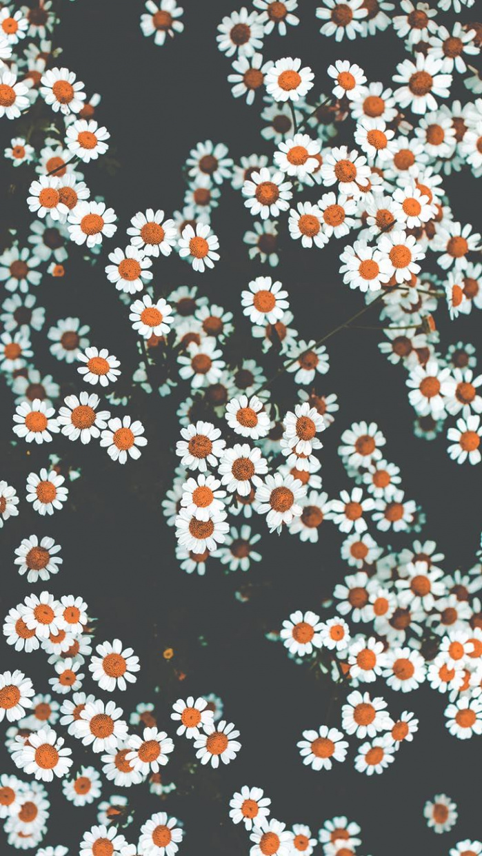 Floral iPhone Xs Wallpapers To Celebrate Spring  Preppy