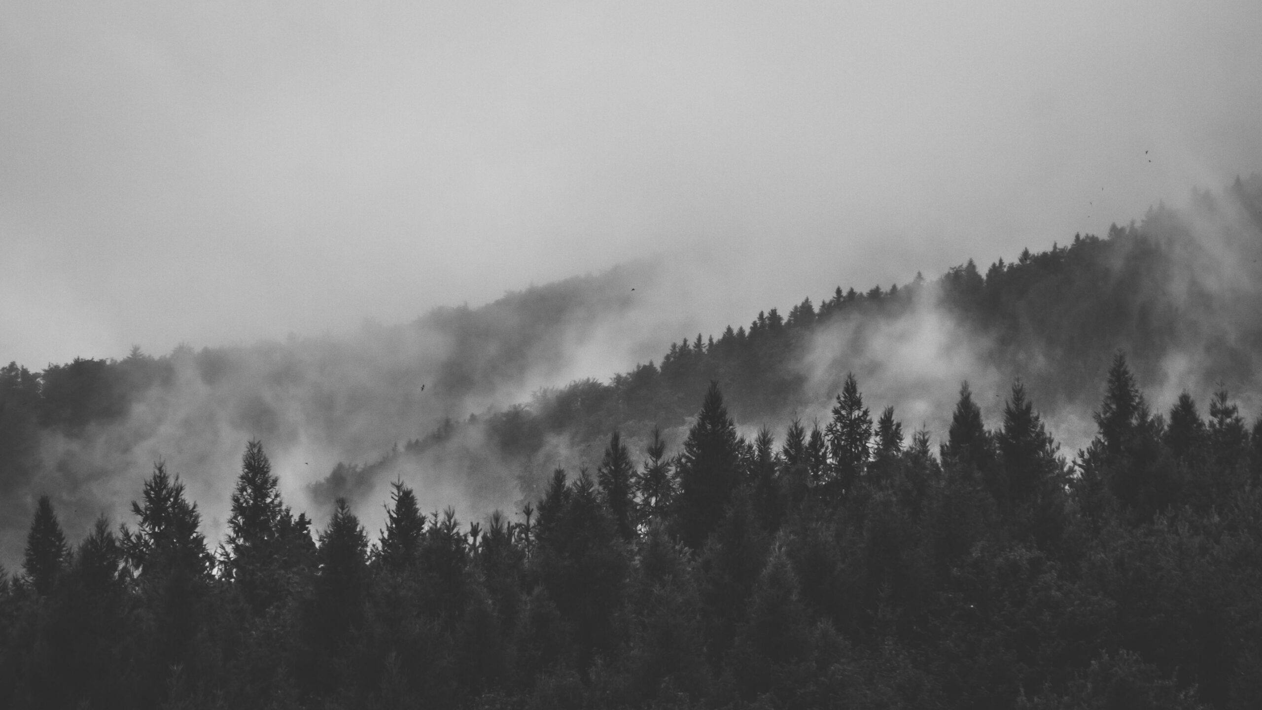 Foggy [:] [OC]  Aesthetic : background, Grey wallpaper pc