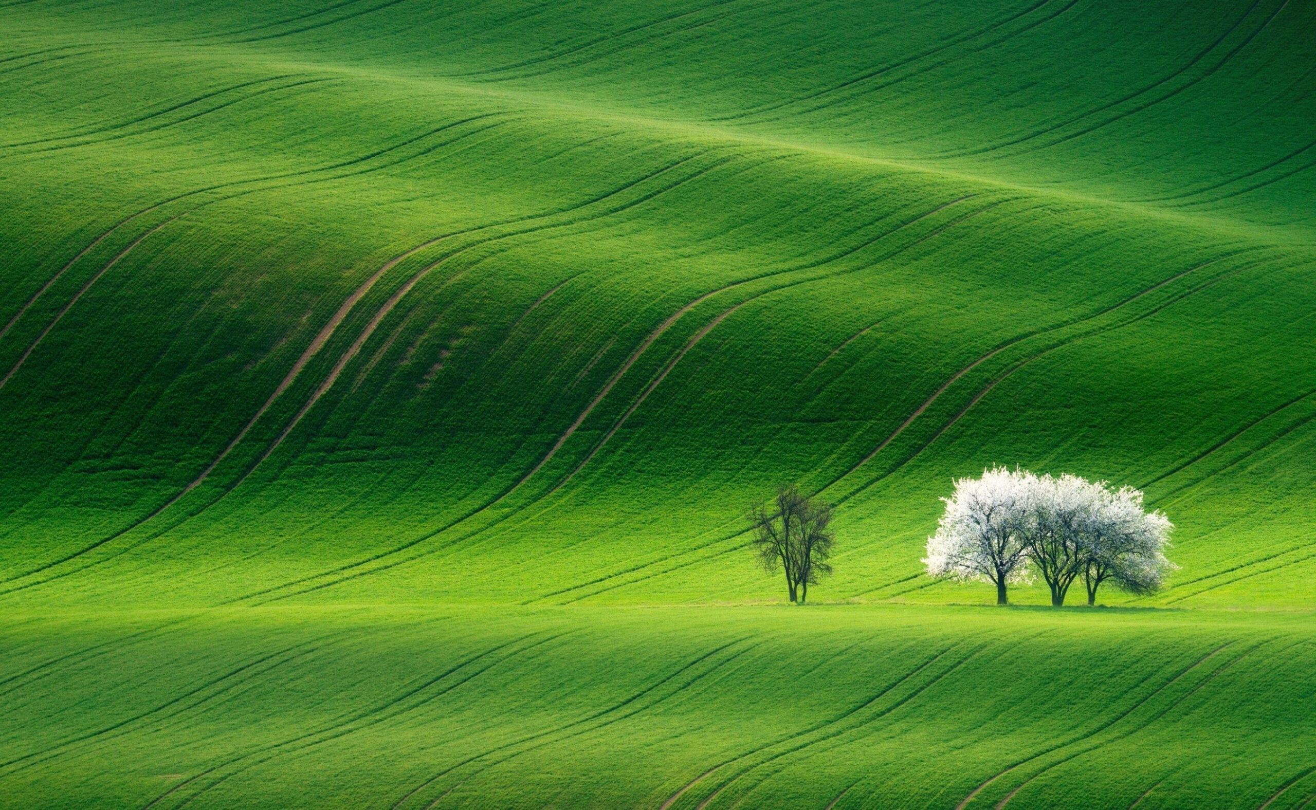 Green Hills Nature Scenery #Nature #Landscape #Nature #Beautiful