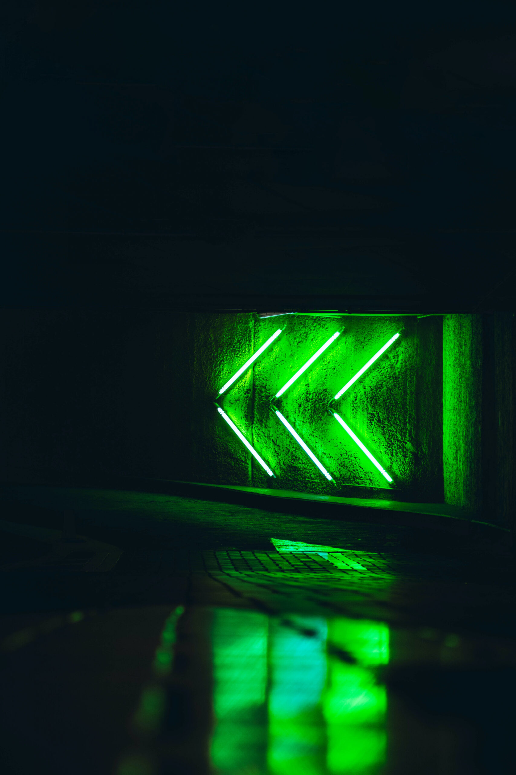 Green Neon Pictures [HD]  Download Free Images on Unsplash