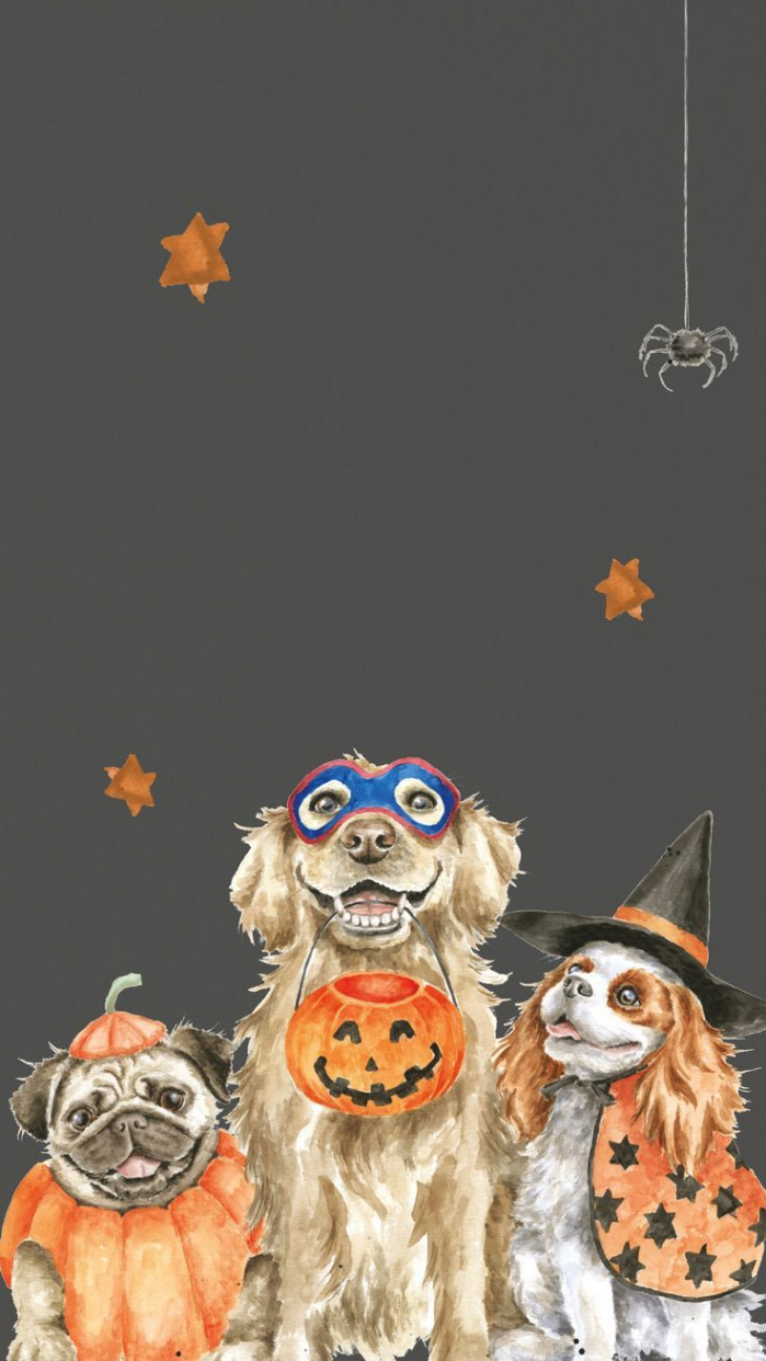 Halloween Dog Phone Wallpaper  Halloween wallpaper cute, Cute