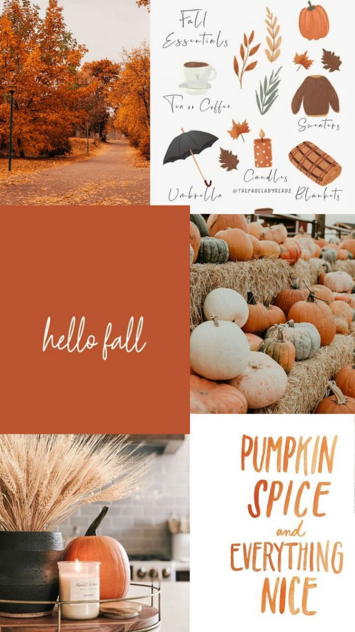 IOS Aesthetic Fall Wallpaper for your Ipone🍂  Fall wallpaper