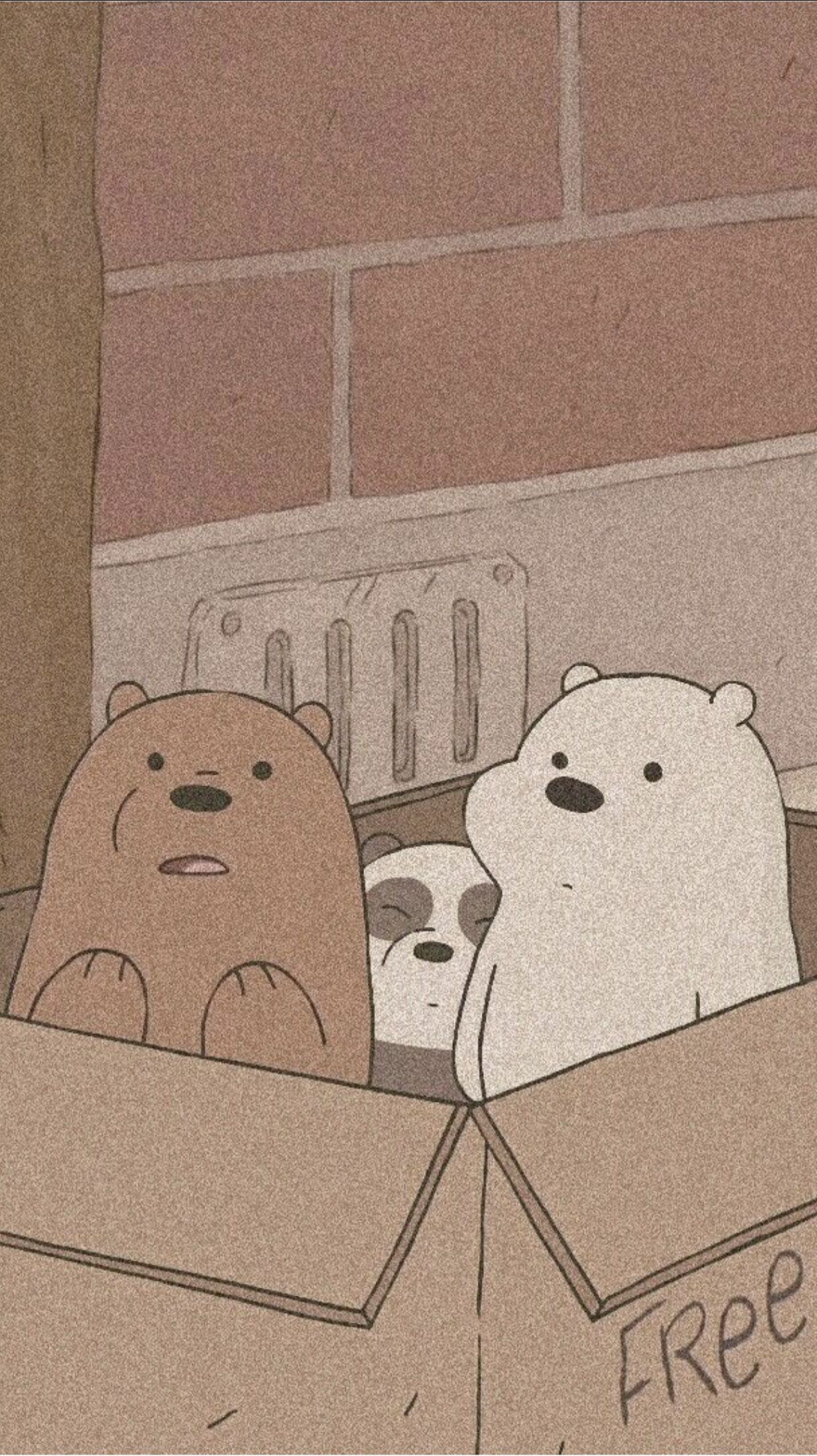 just a bundle of cuteness, all three of them  Bear wallpaper