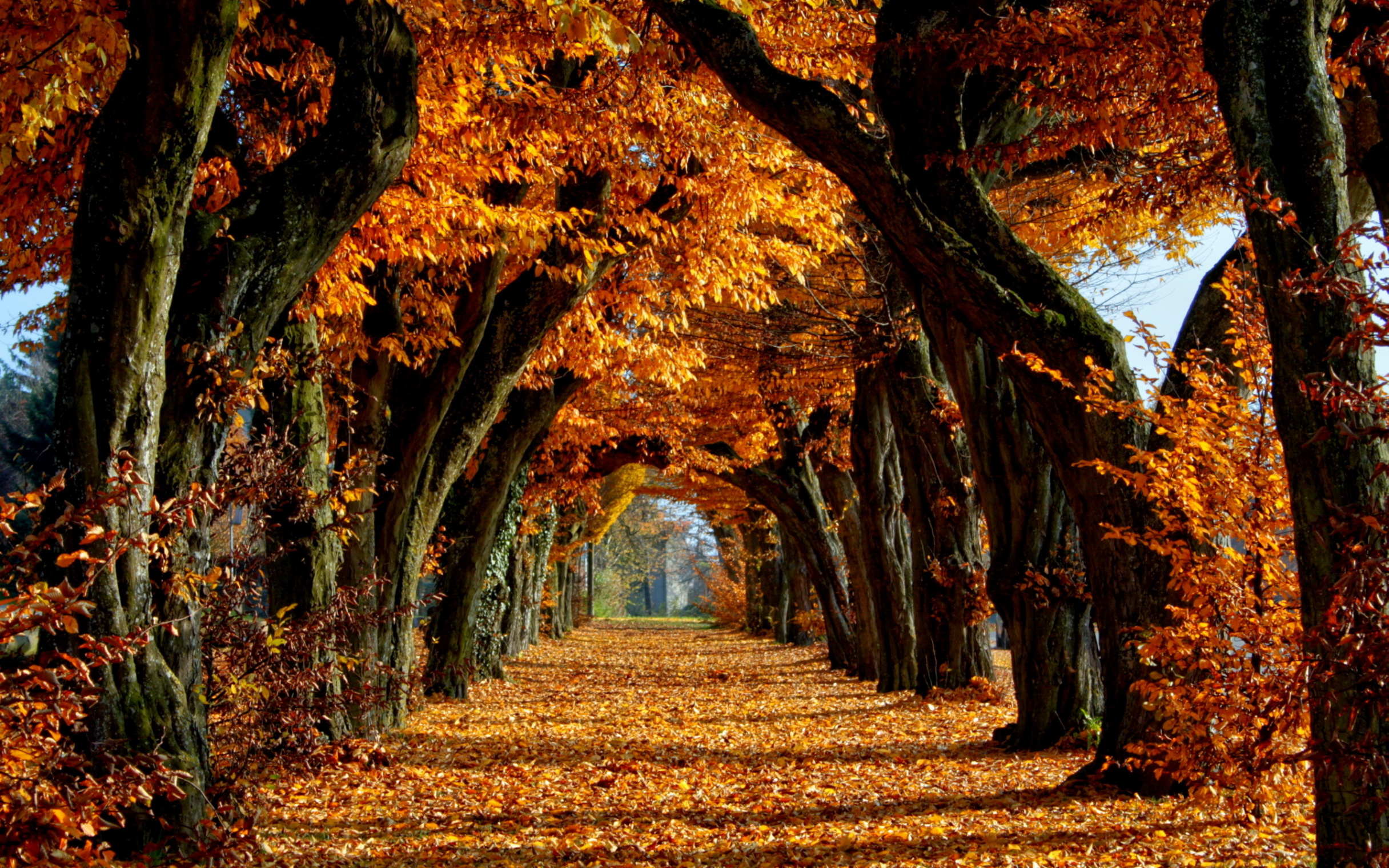 k Autumn Laptop Wallpapers - Wallpaper Cave