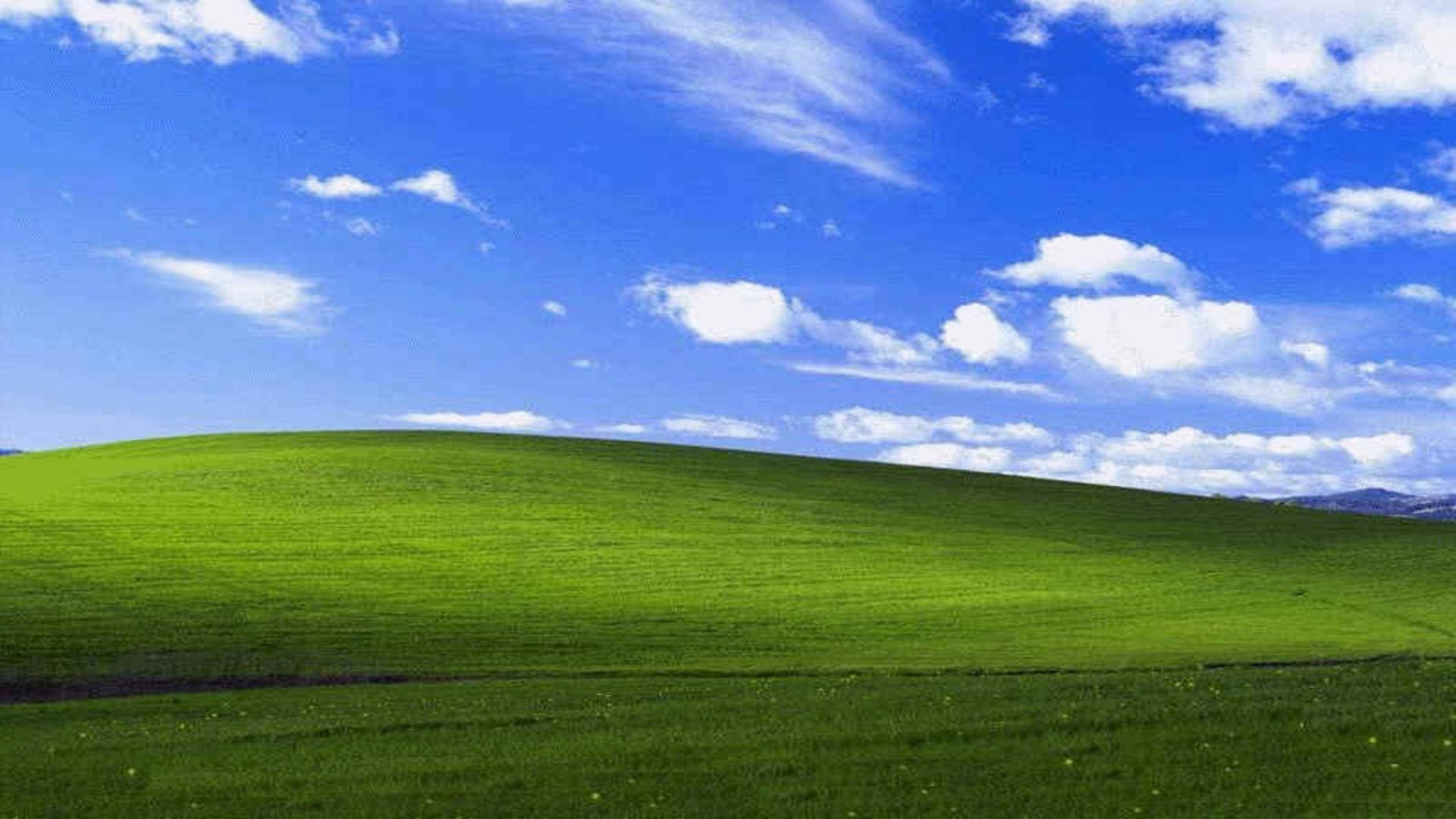 +] Microsoft Desktop Wallpapers  Wallpapers