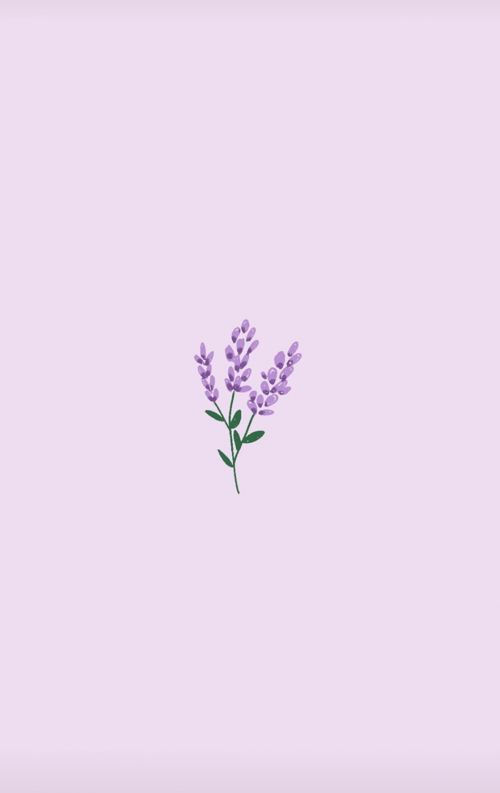 minimalist lockscreen  Tumblr  Simple iphone wallpaper, Flower