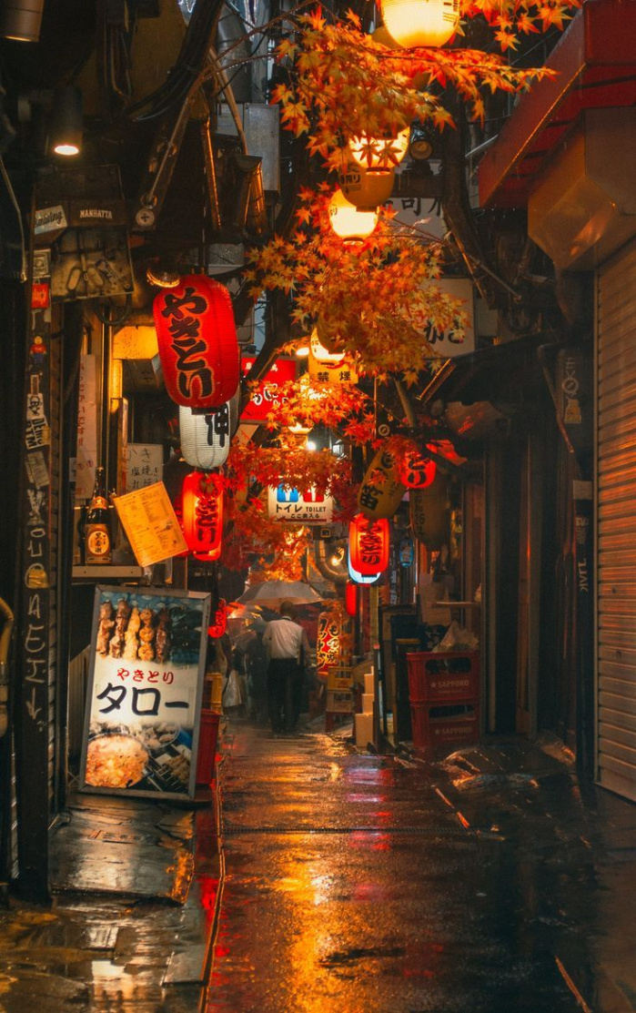 Omoide Yokocho in Autumn Tokyo Japan  Japan photography, Japan