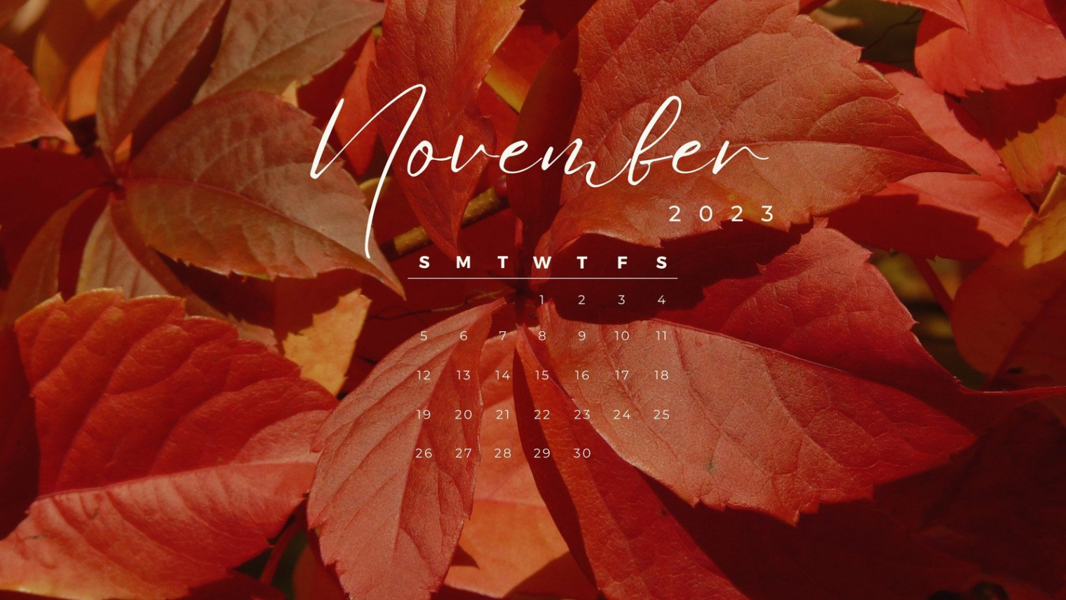 Page  - Free customizable autumn desktop wallpaper templates  Canva