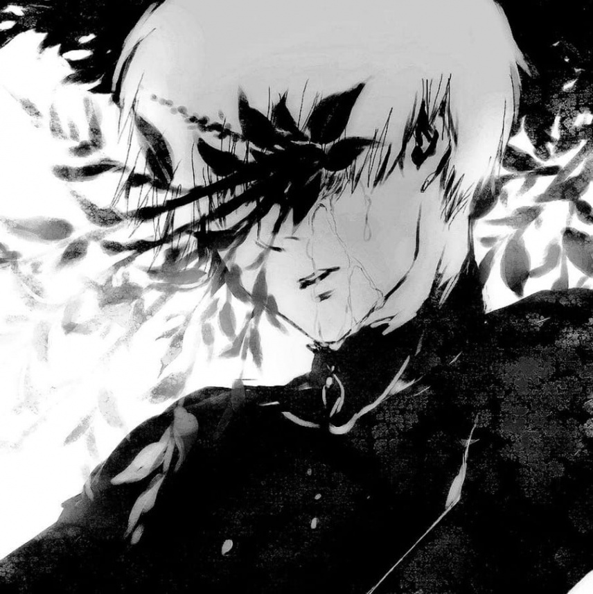 Pin by zxcqwerty on zxc  Tokyo ghoul manga, Tokyo ghoul