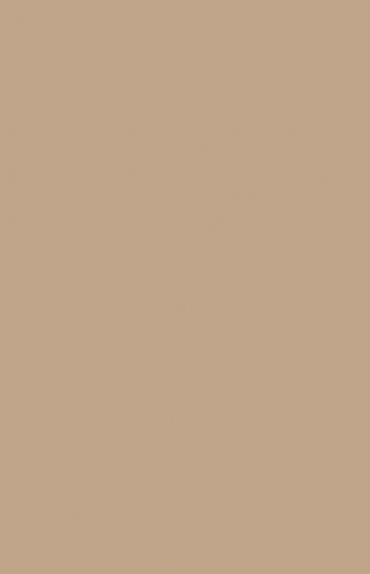 solid tan background  Color wallpaper iphone, Simple iphone