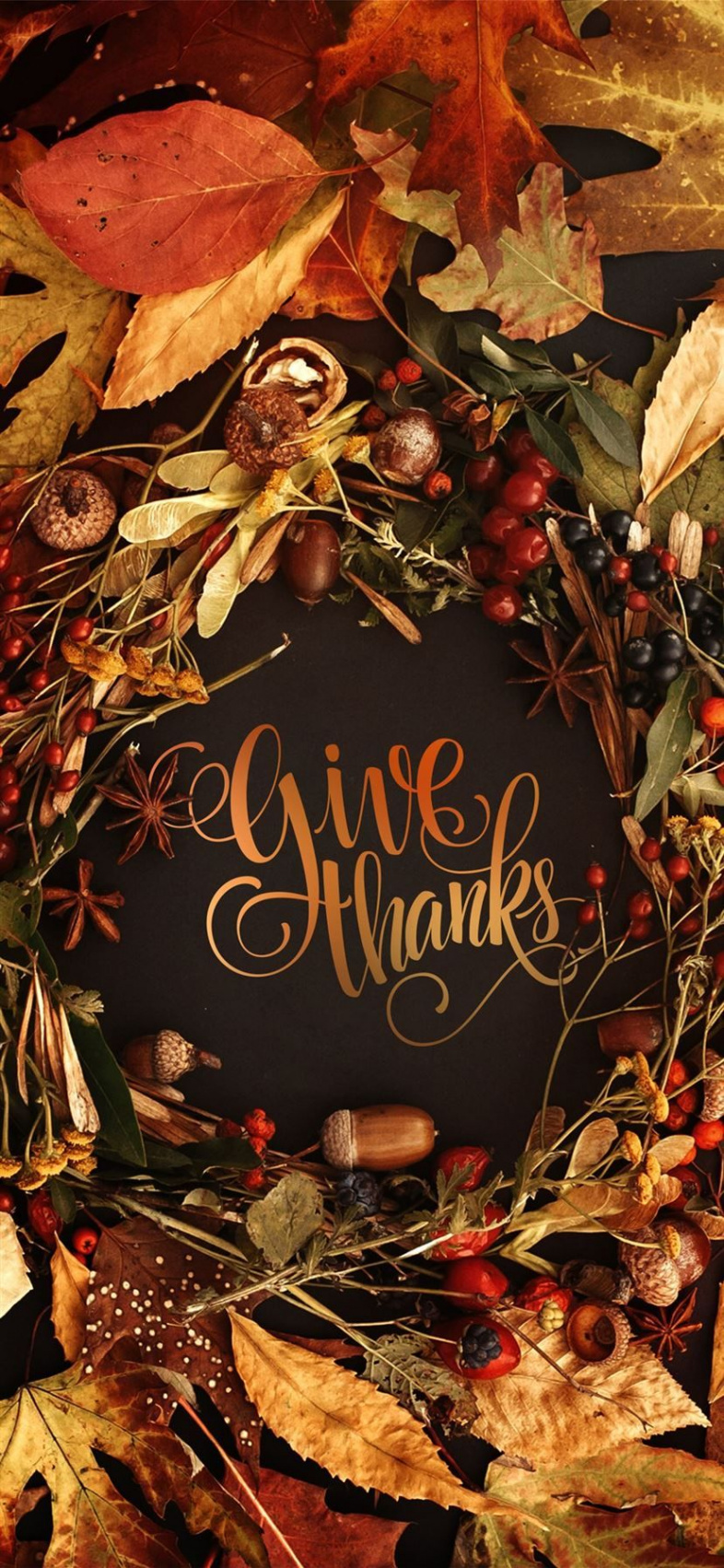 Thanksgiving Trends: Beautiful Background Wallpaper for Your iPhone