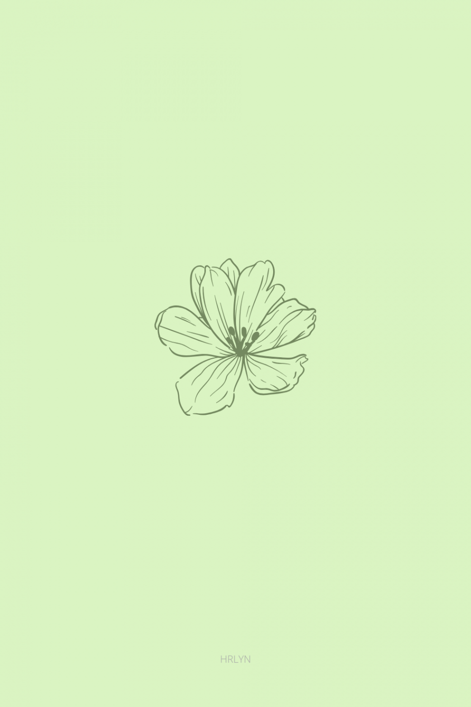 wallpaper flower green minimalist  Mint green wallpaper, Iphone