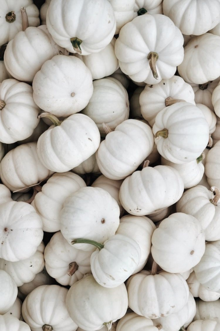 white pumpkins  Pumpkin wallpaper, Fall backgrounds iphone, Cute