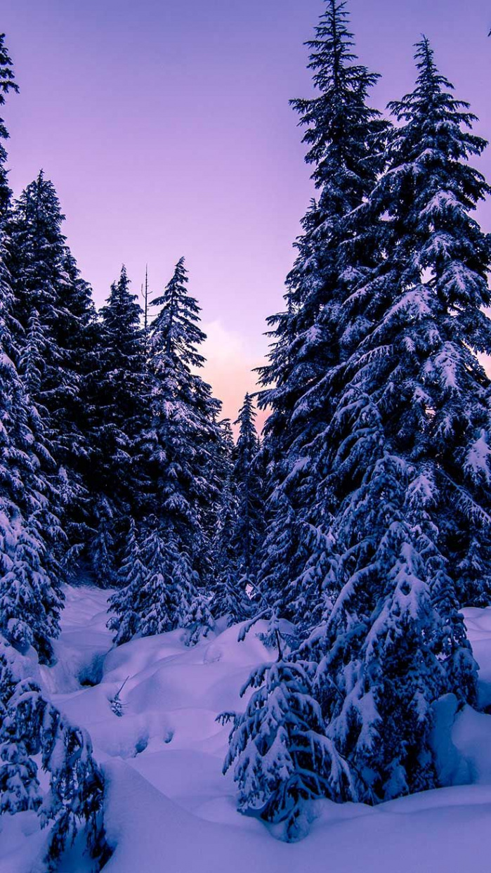 x Winter Landscapes iPhone Wallpaper Collection  Preppy