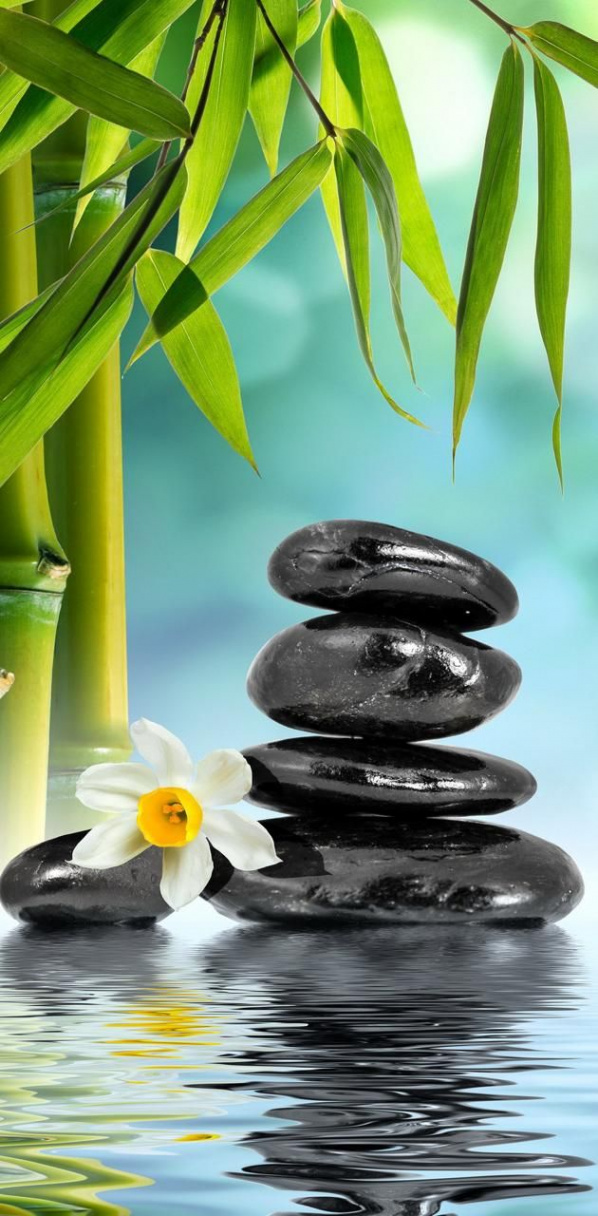 zen wallpaper by Lee_Loo - Download on ZEDGE™  b  Zen