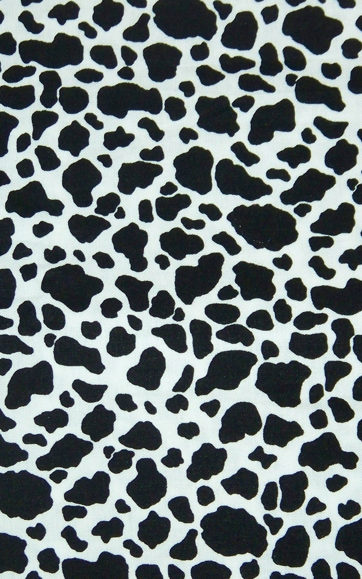 Cow Print Iphone Wallpaper 18