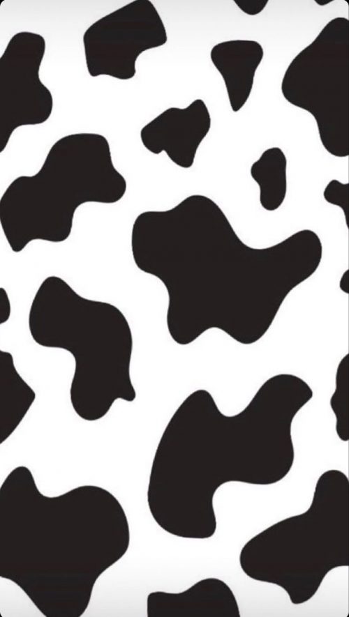 Cow Print Iphone Wallpaper 36