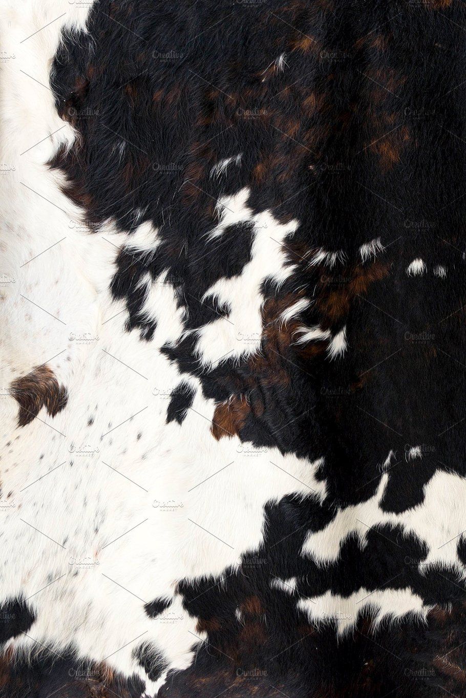 Cow Print Iphone Wallpaper 42