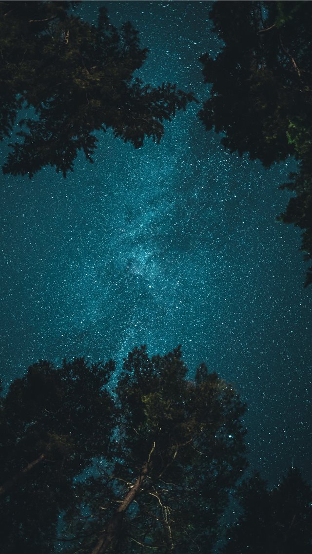 HD Starry Night Iphone Wallpaper 6