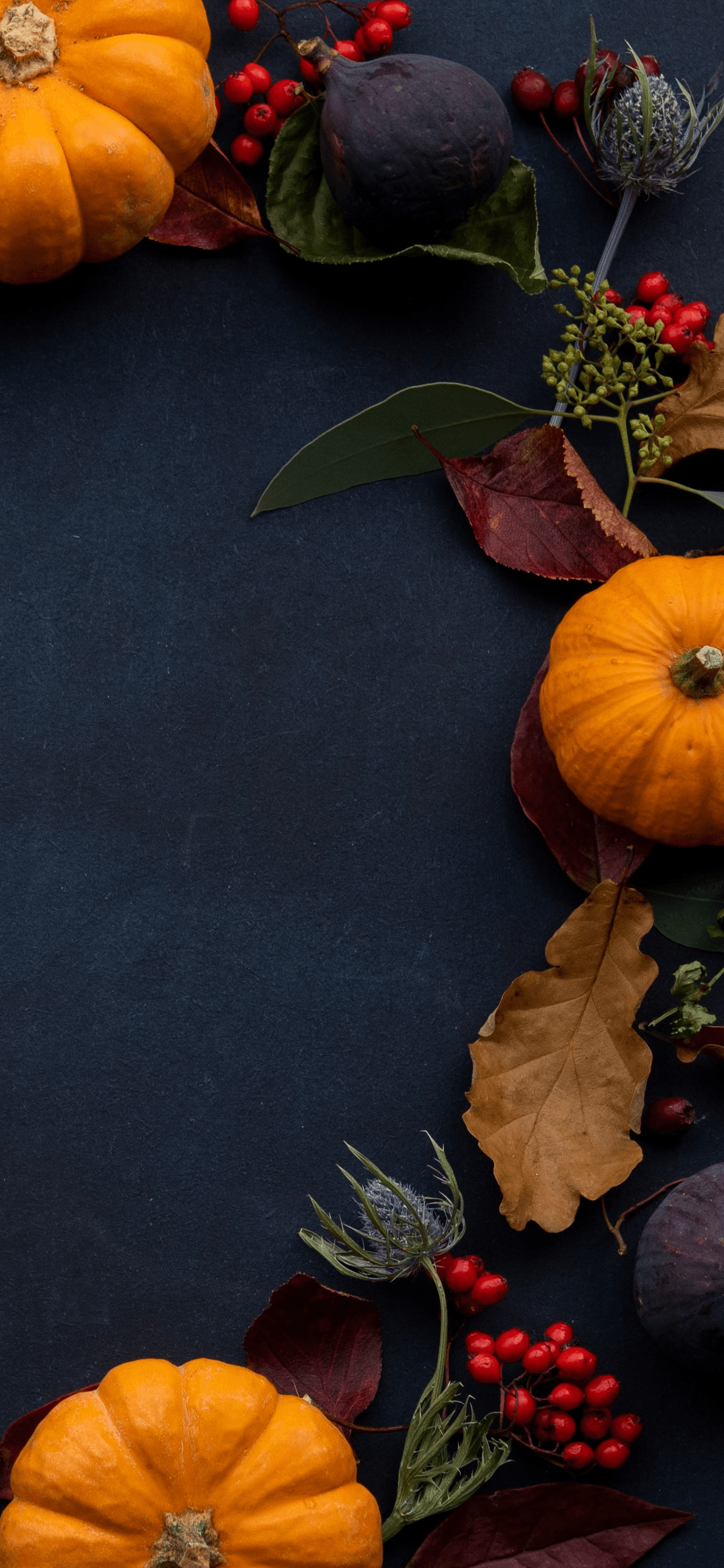 Thanksgiving Wallpaper Widget 20