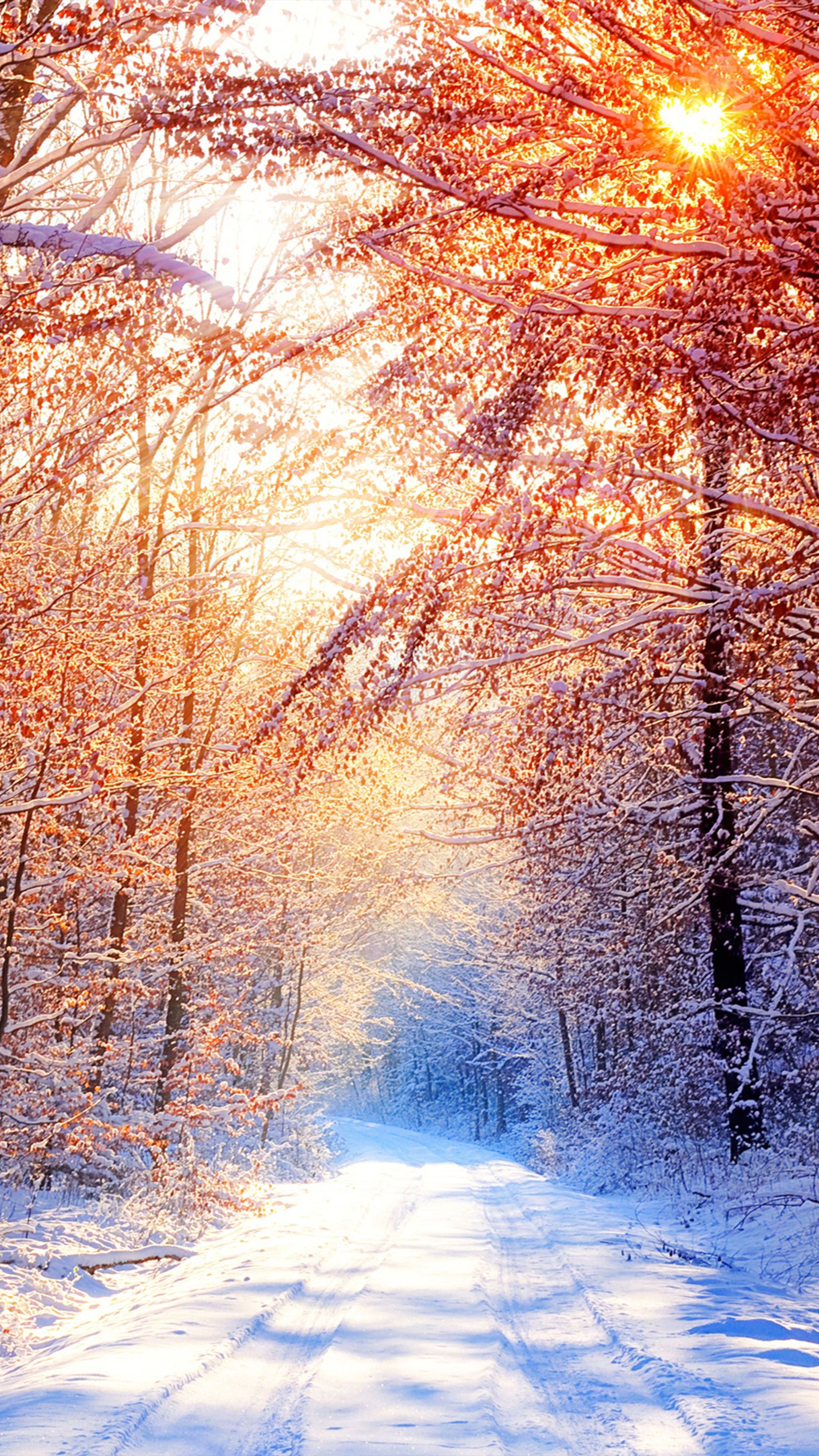 Winter Wallpaper Horizontal 19