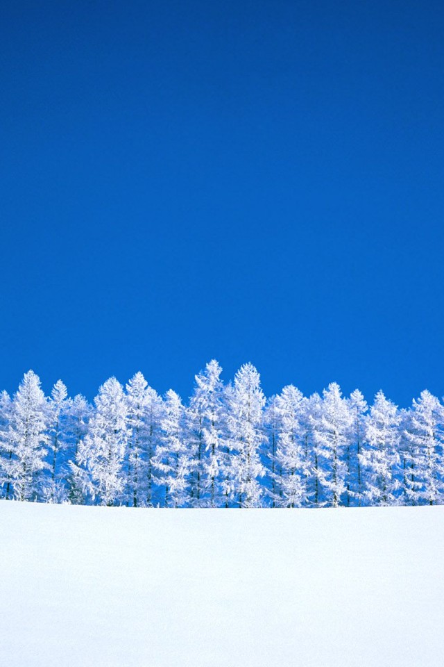 Winter Wallpaper Horizontal 25