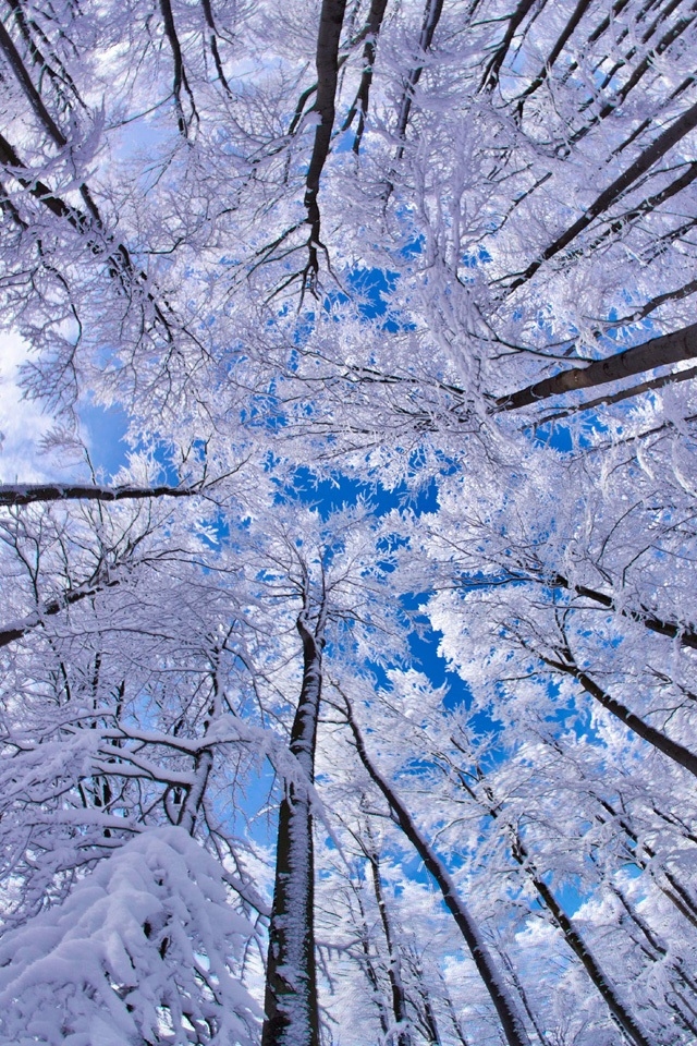 Winter Wallpaper Horizontal 32