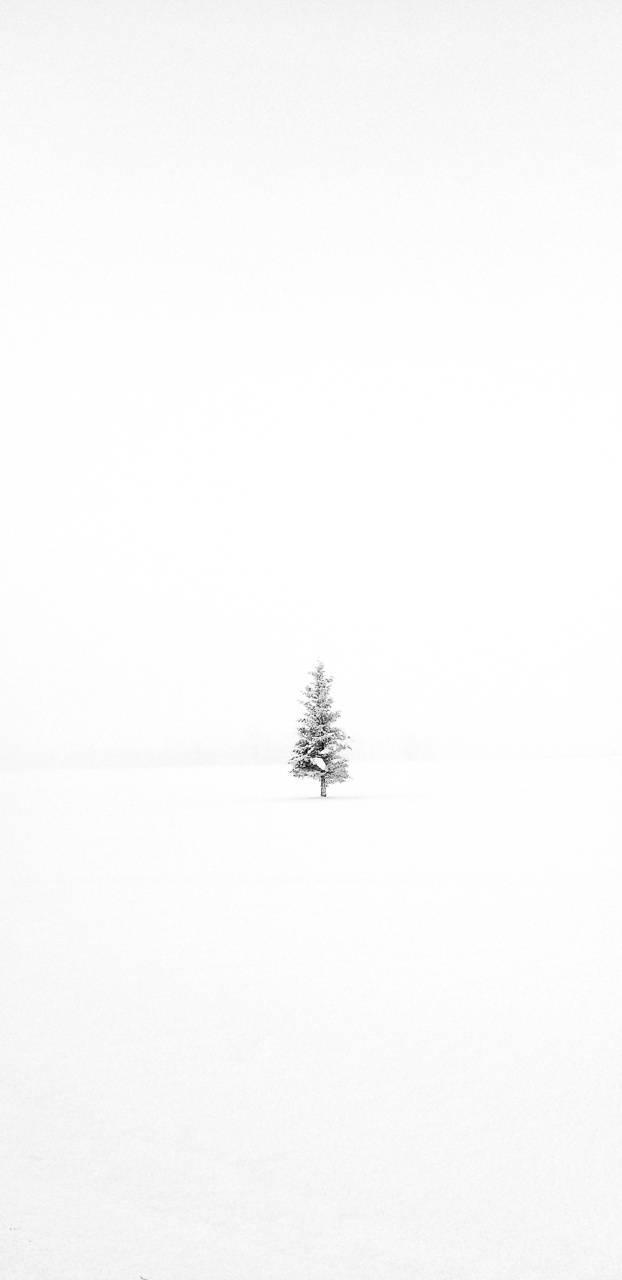 Winter Wallpaper Horizontal 41