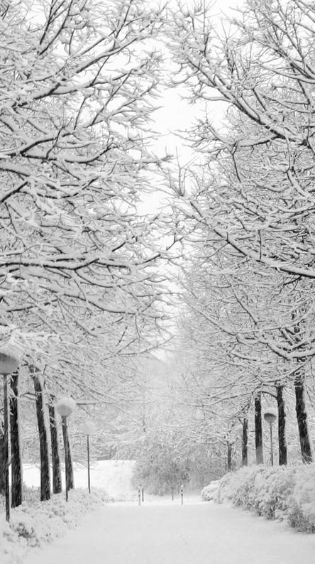 Winter Wallpaper Horizontal 49