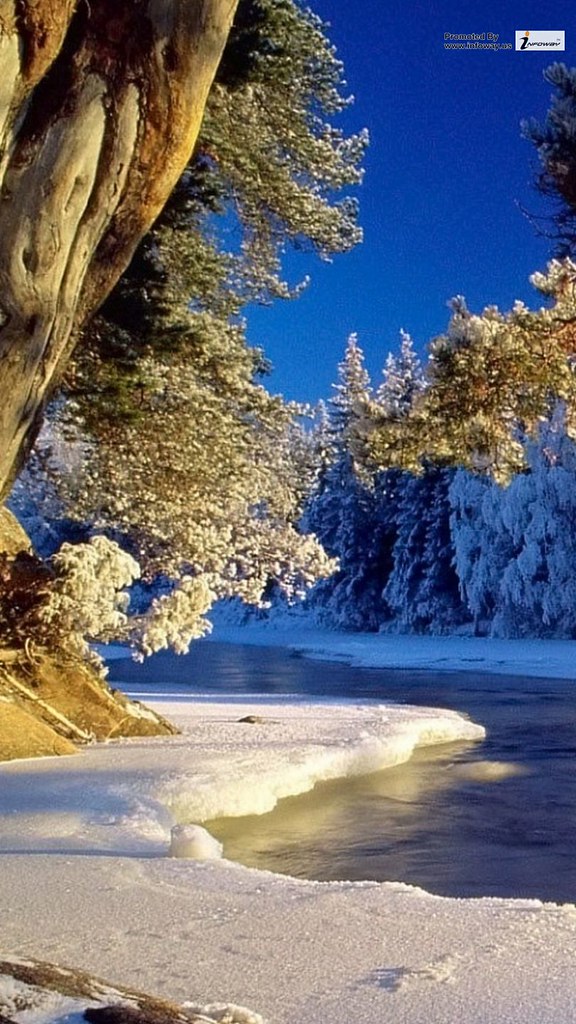 Winter Wallpaper Horizontal 52