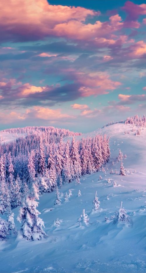 Winter Wallpaper Horizontal 53