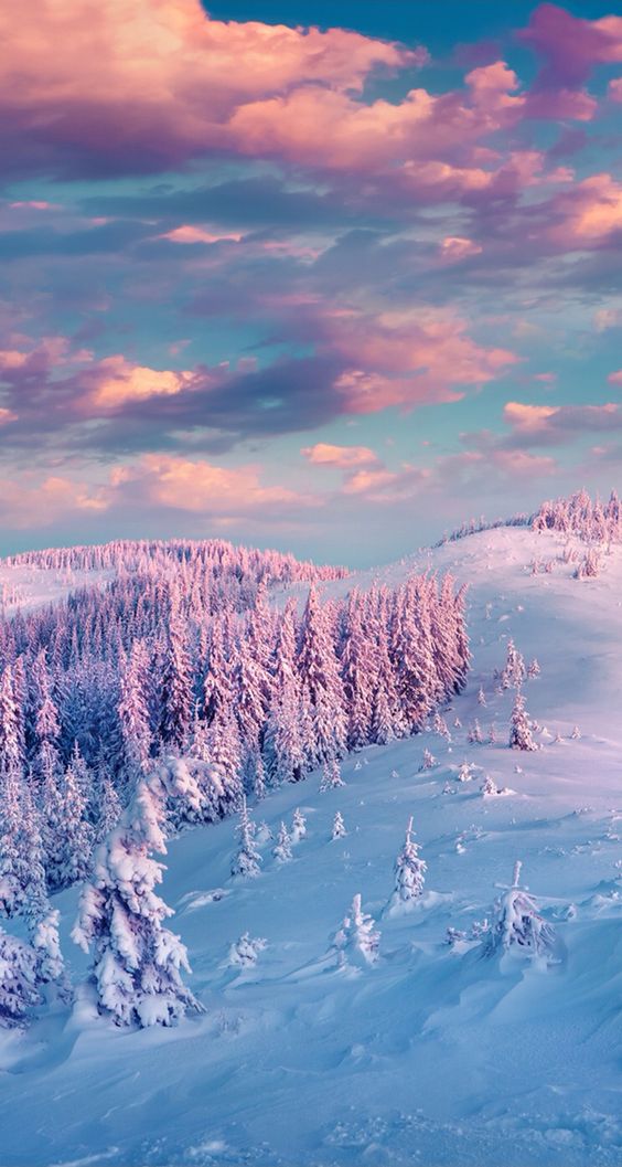 Winter Wallpaper Horizontal 58