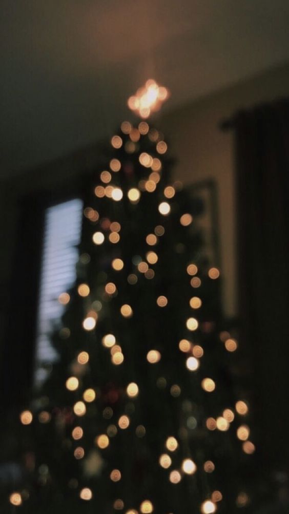 Christmas Tree Wallpaper Blurry