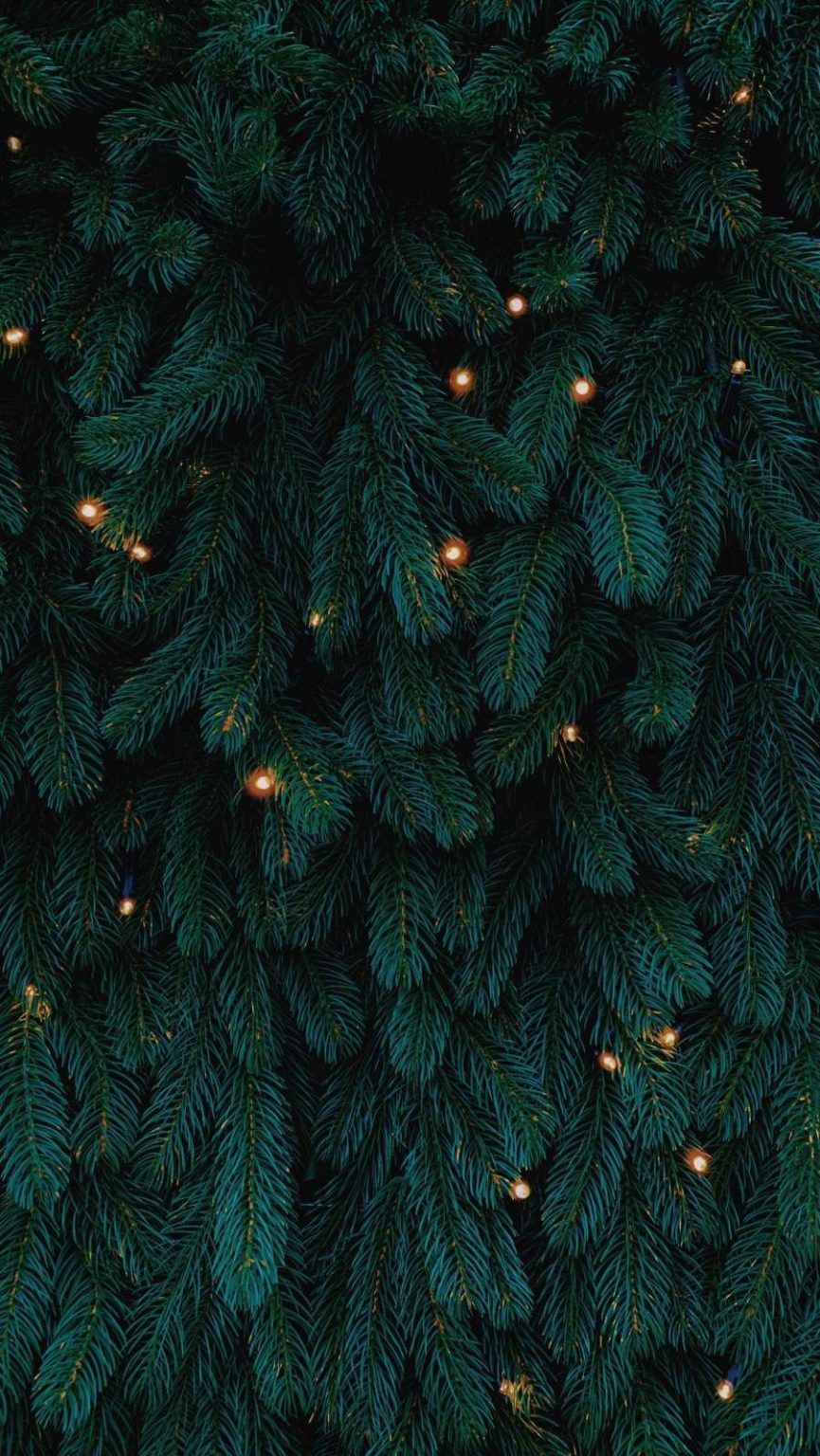 Christmas Tree Wallpaper Iphone